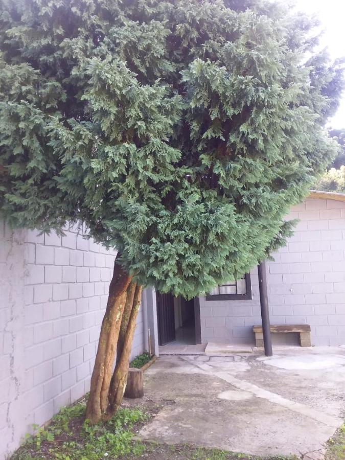 Kitnet Recanto De Campos Villa Campos do Jordão Esterno foto